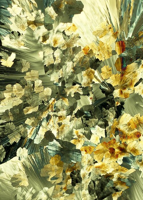 Biochemistry Greeting Card featuring the photograph Serotonin Crystals, Light Micrograph by Pasieka