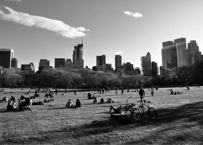 Sheep Meadow Greeting Card featuring the photograph Sheep Meadow by Andrew Dinh