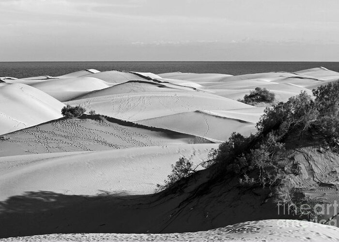 Atlantic Greeting Card featuring the photograph Shifting Sands by Urban Shooters