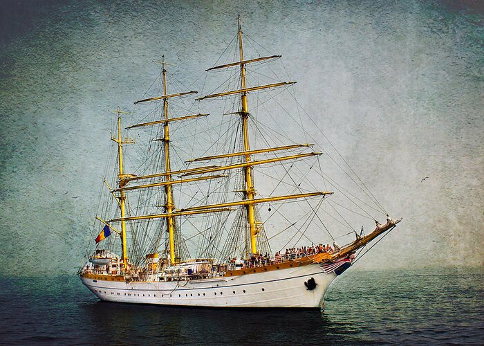 Tallship Greeting Card featuring the photograph Ship Mircea by Fred LeBlanc