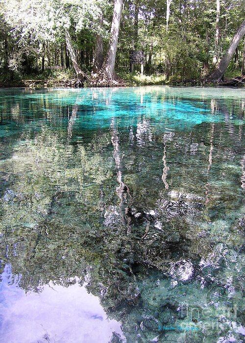 Ginnie Springs Greeting Card featuring the photograph Silent Springs by Li Newton