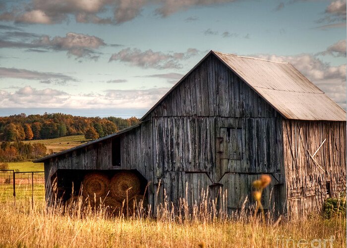 Barn Greeting Card featuring the photograph Simple Life by Terry Doyle