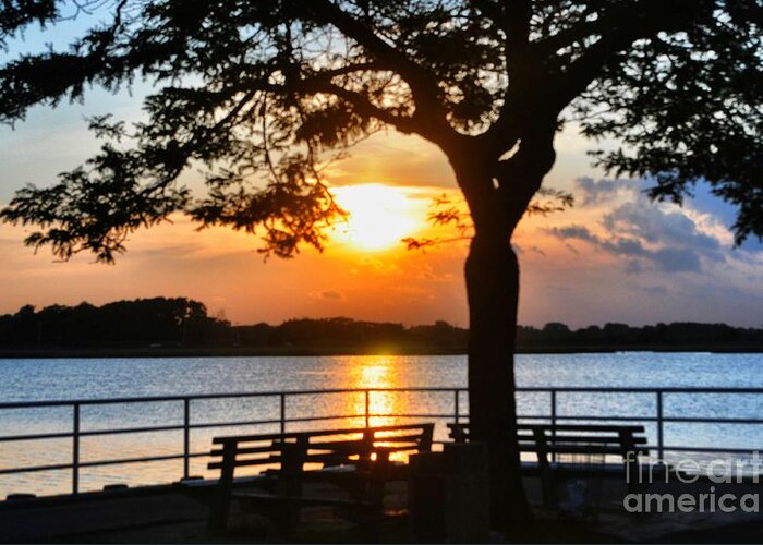 Sunset Greeting Card featuring the photograph Sitting Pretty by Claire Reilly