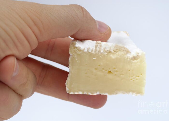 People Greeting Card featuring the photograph Slice of camembert cheese in hand by Sami Sarkis