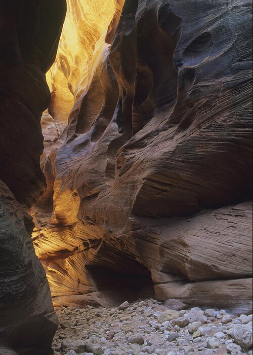 Arizona Greeting Card featuring the photograph Slot Canyon by Cliff Wassmann