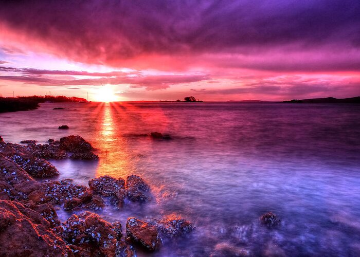 Sunset Greeting Card featuring the photograph Snapper Island Sunset by Paul Svensen