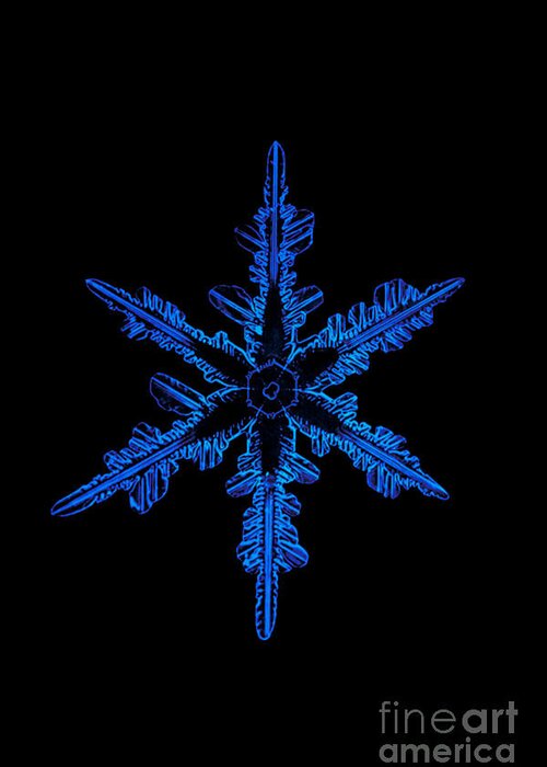 Snowflake Greeting Card featuring the photograph Snowflake Crystal by Science Source