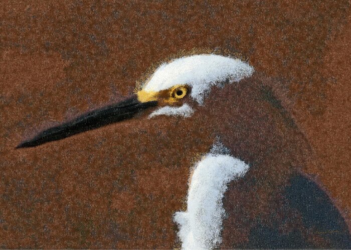 Birds Greeting Card featuring the digital art Snowy Egret Profile Painterly by Ernest Echols