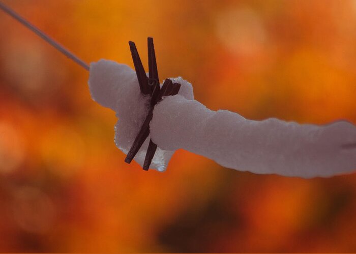 Clothes Pin Greeting Card featuring the photograph Snowy Halloween by Trish Tritz