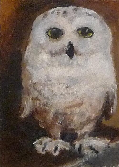 Looks Like Hedwig Greeting Card featuring the painting Snowy Owl by Jessmyne Stephenson