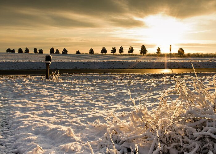 Cold Greeting Card featuring the photograph Snowy Sunrise by Lori Coleman