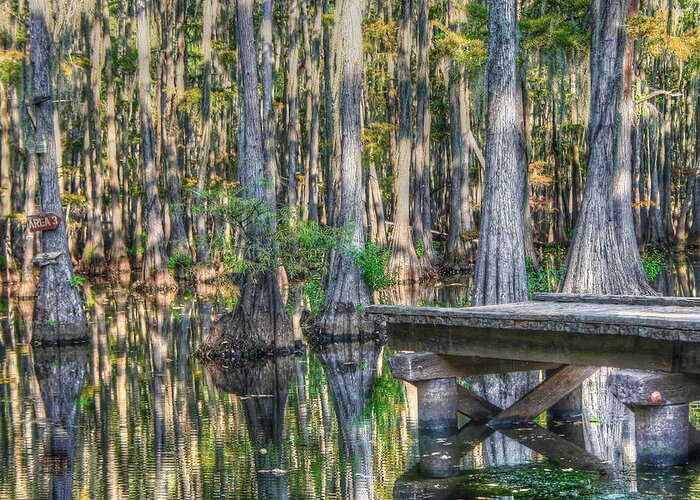 Swamp Canvas Prints Greeting Card featuring the photograph So Peaceful by Ester McGuire