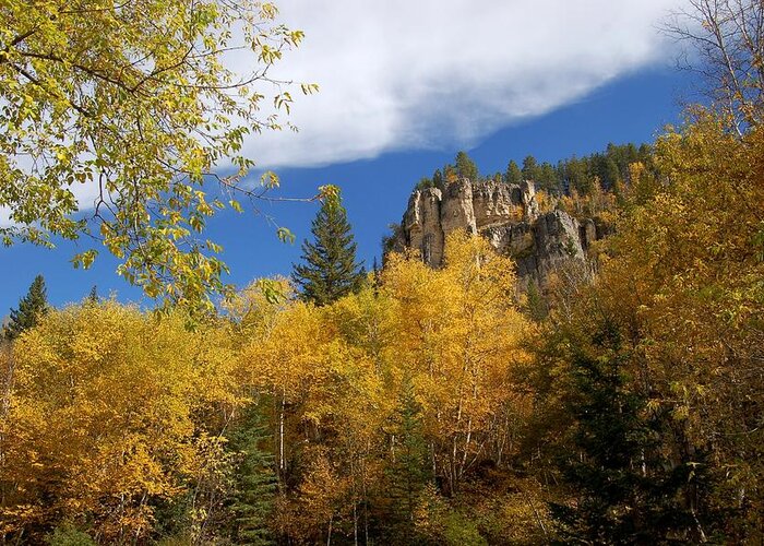 Spearfish Greeting Card featuring the photograph Spearfish Canyon Fortress in Rock by Greni Graph