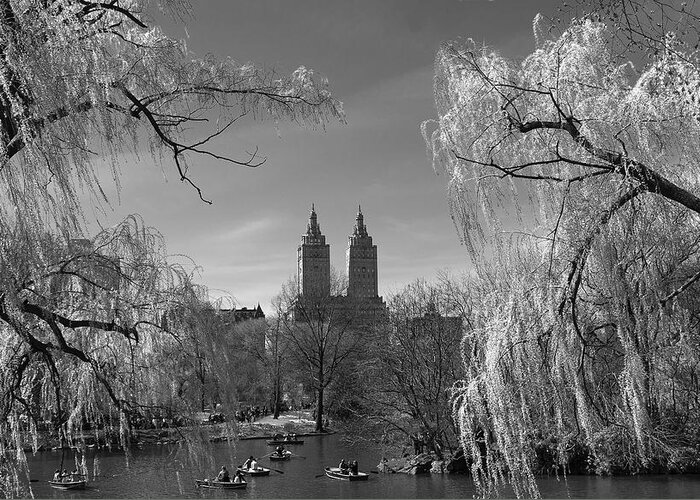 Spring Greeting Card featuring the photograph Spring in Central Park by Yelena Rozov