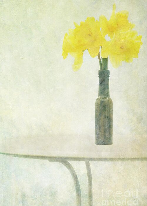 Daffodils Greeting Card featuring the photograph Springtime by Marion Galt