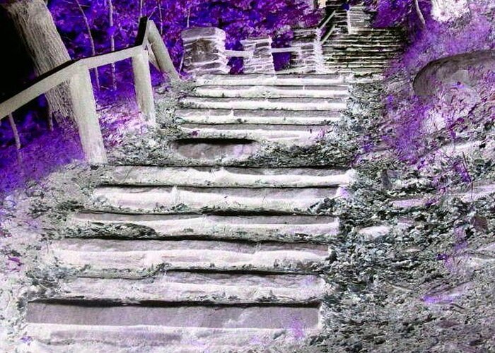 Stairs Greeting Card featuring the photograph Stairway to Heaven by Rhonda Barrett