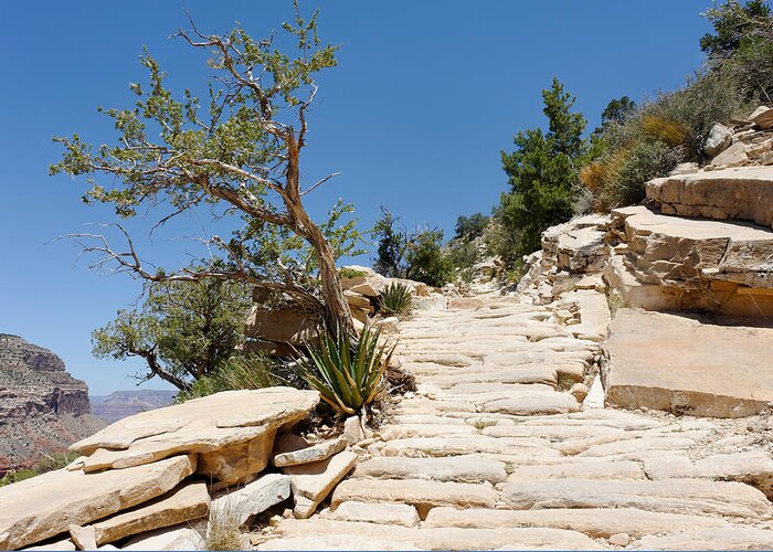 Trail Greeting Card featuring the photograph Steps on the Hermit's Rest Trail II by Julie Niemela