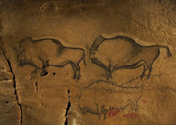 Animal Greeting Card featuring the photograph Stone-age Cave Paintings, Asturias, Spain by Javier Truebamsf