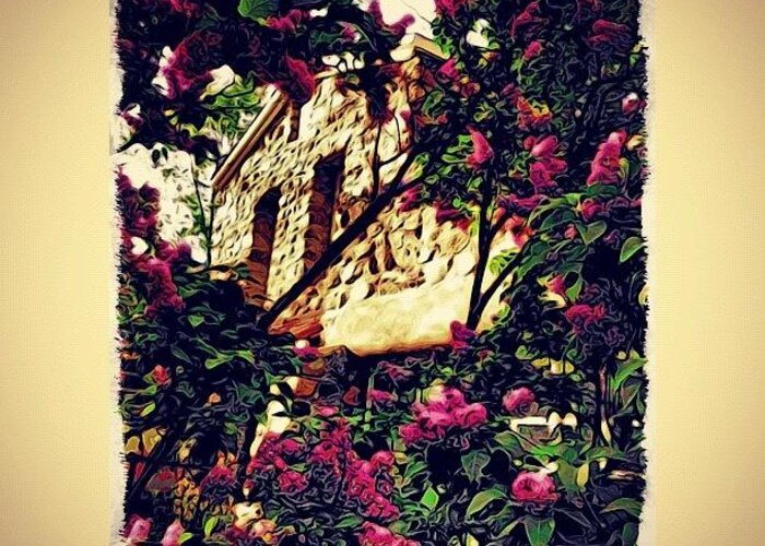Flowers Greeting Card featuring the photograph Stone House With Lilacs by Paul Cutright