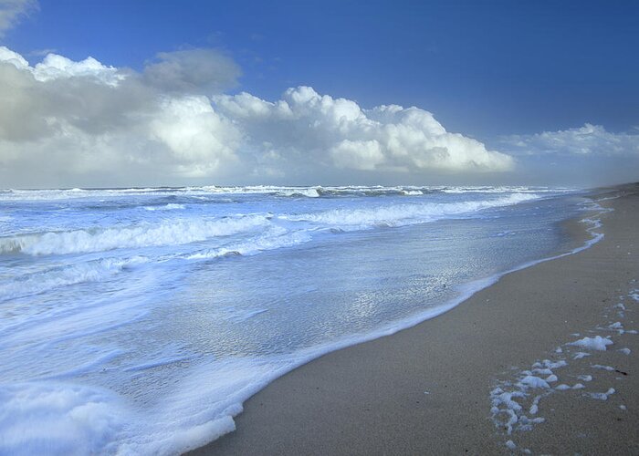 Mp Greeting Card featuring the photograph Storm Cloud Over Beach, Canaveral by Tim Fitzharris