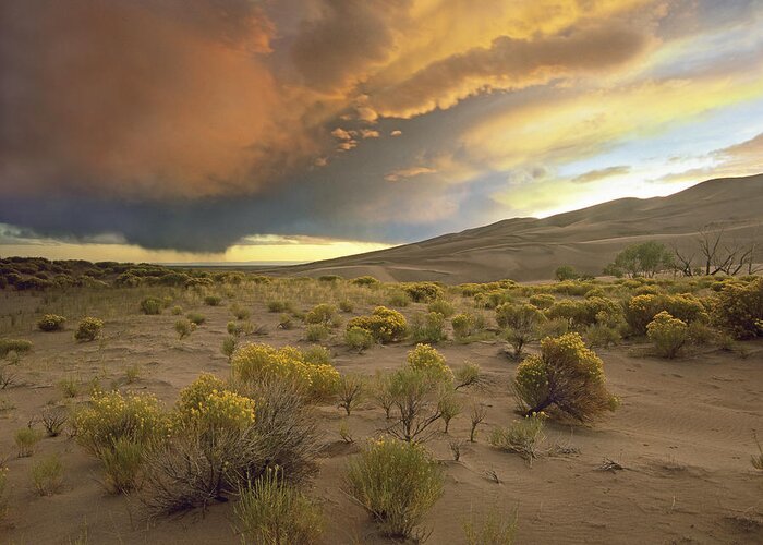 00176700 Greeting Card featuring the photograph Storm Clouds Over Great Sand Dunes by Tim Fitzharris