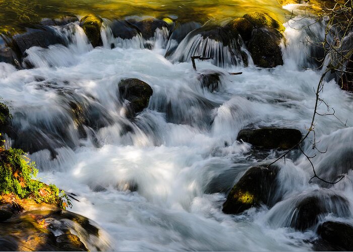 Stream Greeting Card featuring the photograph Stream by Michael Goyberg