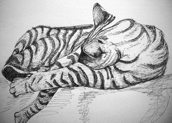 Pets Greeting Card featuring the drawing Stripes by Mary Schiros