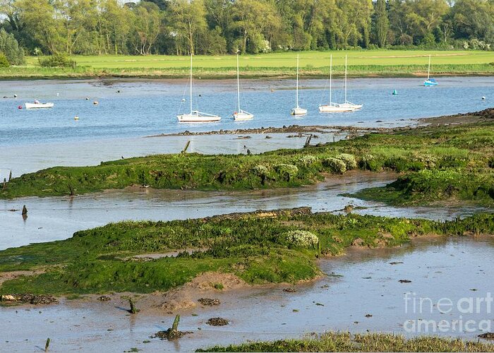 Scenic Greeting Card featuring the photograph Suffolk Mud flats by Andrew Michael