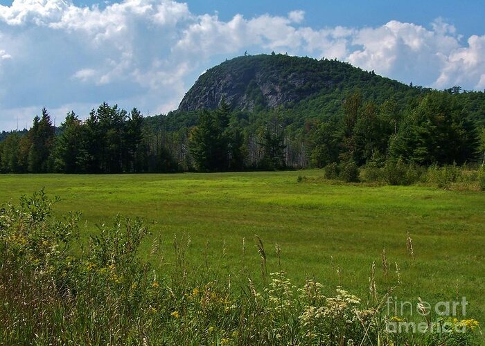 Adirondacks Greeting Card featuring the photograph Summer Fields 3 by Peggy Miller