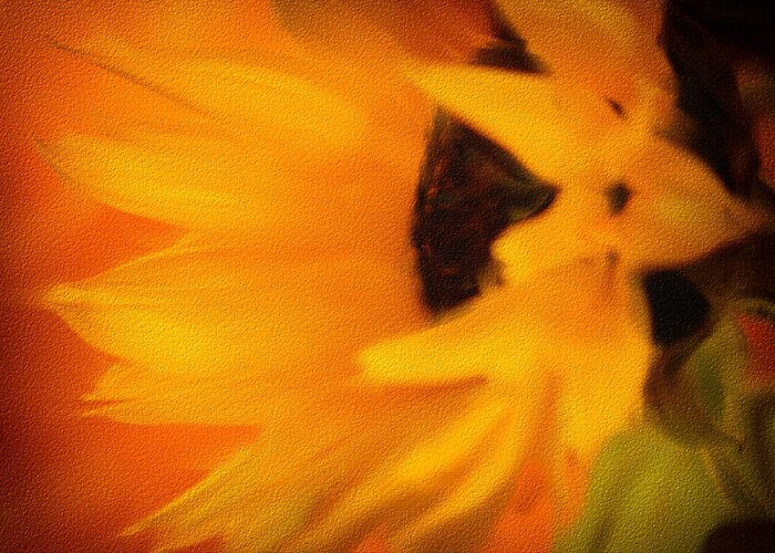 Sunflower Greeting Card featuring the photograph Sunflower by James Bethanis