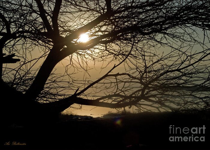 Sunrise Greeting Card featuring the photograph Sunrise at the dead sea 04 by Arik Baltinester