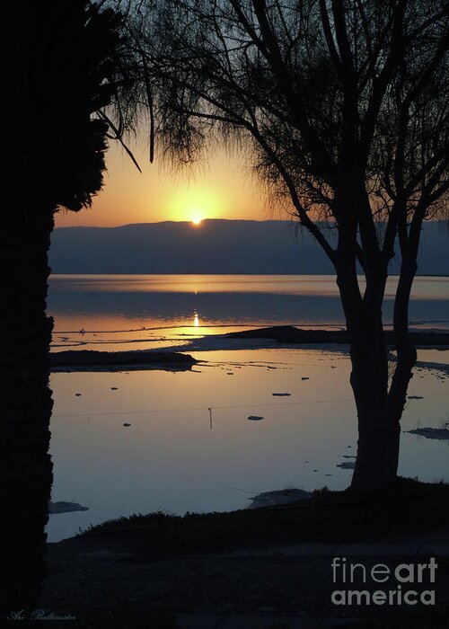 Sunrise Greeting Card featuring the photograph Sunrise at the Dead Sea 05 by Arik Baltinester
