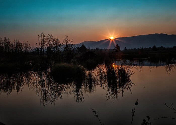 2012 Greeting Card featuring the photograph Sunrise over the Beaver Pond by Ronald Lutz