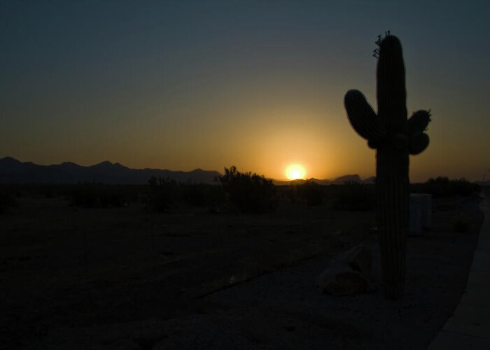 Cactus Greeting Card featuring the photograph Sunrise Saguaro by Tom Singleton