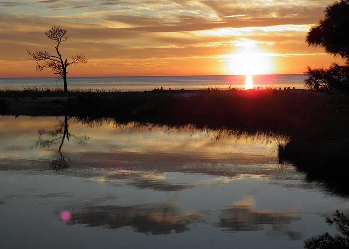 Virginia Greeting Card featuring the photograph Sunset and Tidal Pool Cape Charles VA by Sven Migot