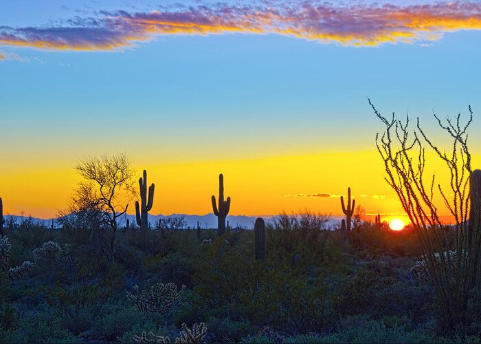 Arizona. Desert Plants Saguaro Greeting Card featuring the photograph Sunset for You by Brian Lambert