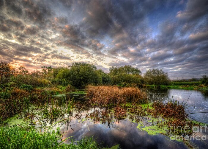 Hdr Greeting Card featuring the photograph Swampy by Yhun Suarez
