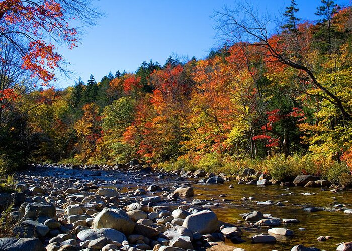 Nh Greeting Card featuring the photograph Swift River in Autumn by Larry Landolfi