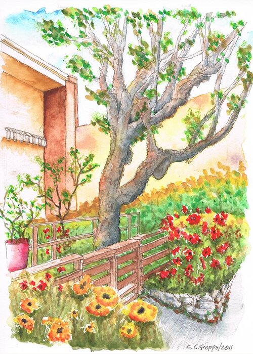Watercolor Greeting Card featuring the painting Sycamore tree in Venice Beach - California by Carlos G Groppa