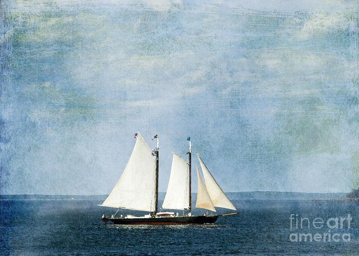 Ship Greeting Card featuring the photograph Tall Ship by Alana Ranney