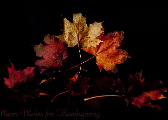 Greeting Card Greeting Card featuring the photograph Thanksgiving wishes by B Cash