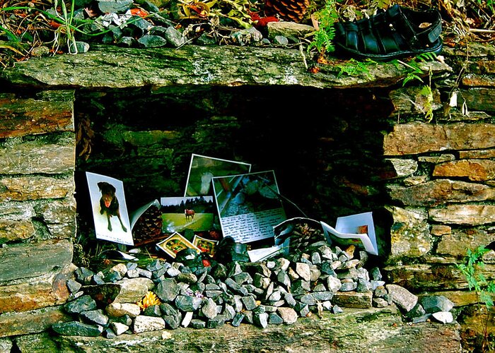 Memorabilia Greeting Card featuring the photograph The Baffling Shoe by HweeYen Ong