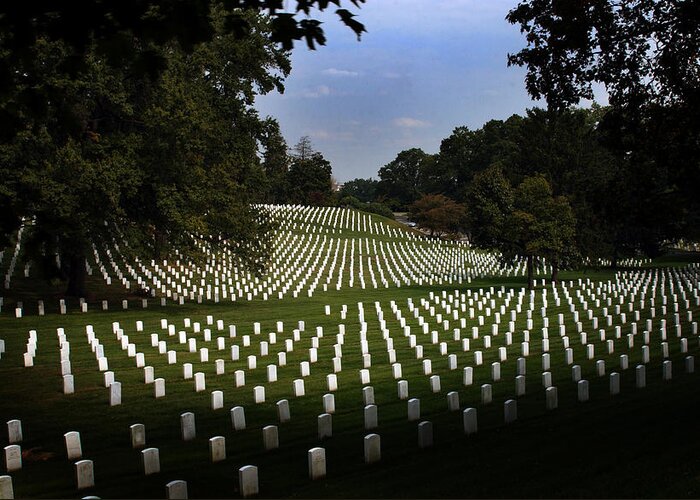 Arlington National Cemetery Greeting Card featuring the photograph The Cost by Greg and Chrystal Mimbs