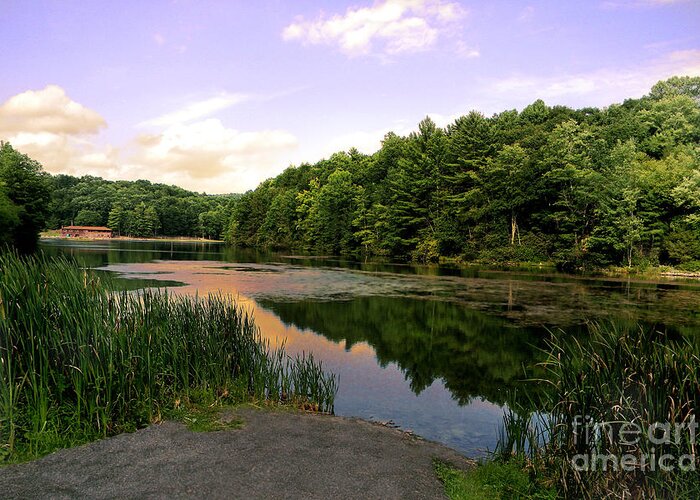 Reflection Greeting Card featuring the photograph The End of the Road by Lisa Lambert-Shank