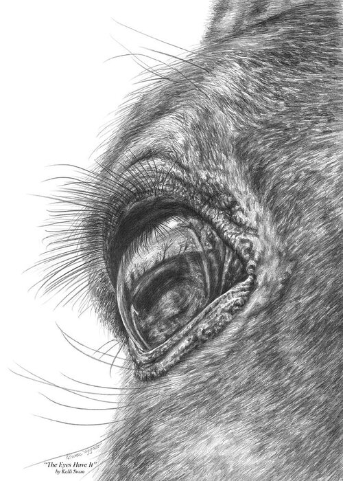 Arabian Greeting Card featuring the drawing The Eyes Have It - Horse Portrait Closeup Print by Kelli Swan