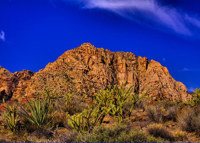 Red Rock Greeting Card featuring the photograph The Gorgeous Red Rock Canyon by David Patterson