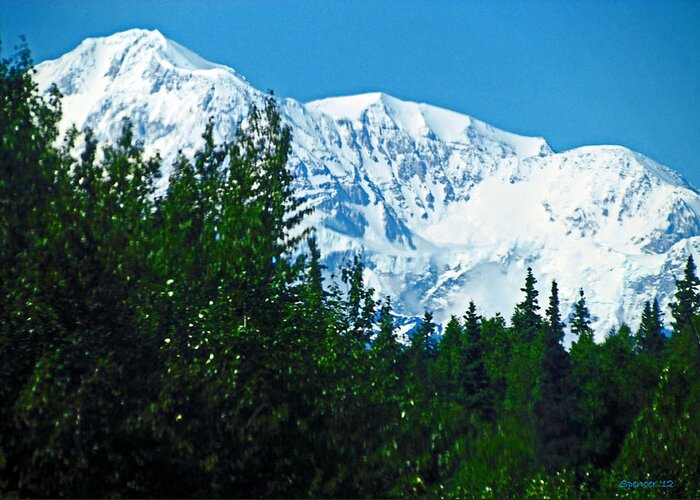 Denali Greeting Card featuring the photograph The High One by T Guy Spencer