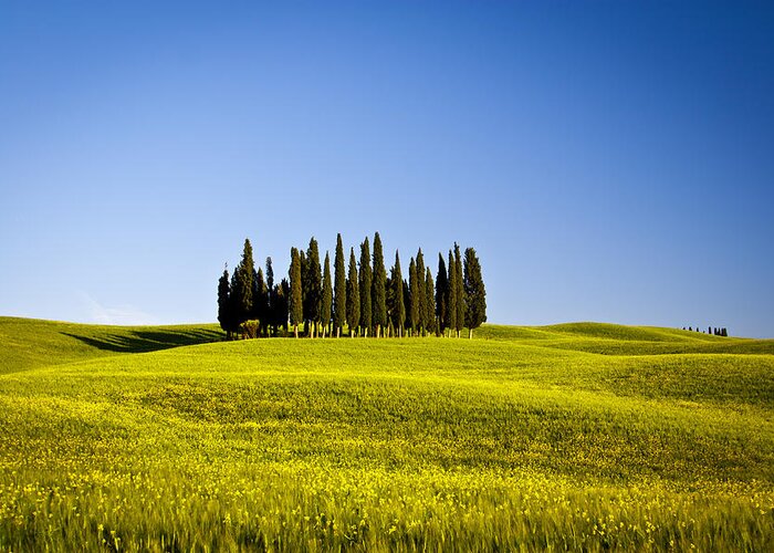 Toscana Greeting Card featuring the photograph The Island by Stefano Termanini