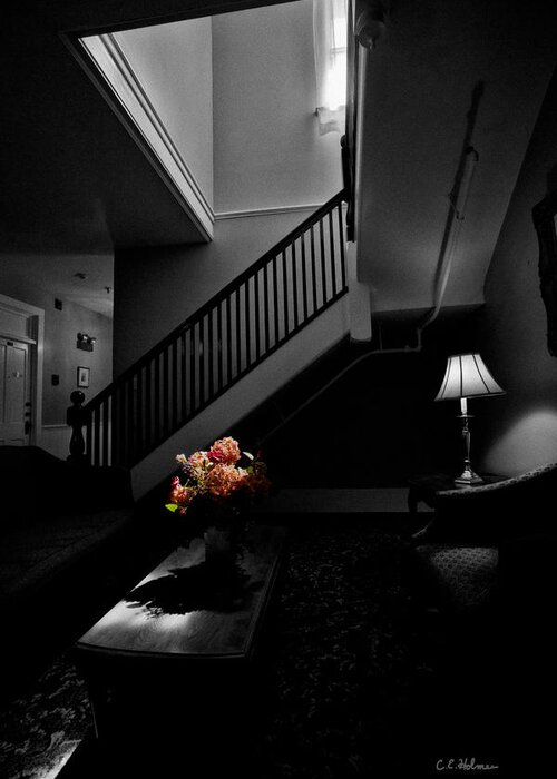 Stairway Greeting Card featuring the photograph The Landing by Christopher Holmes