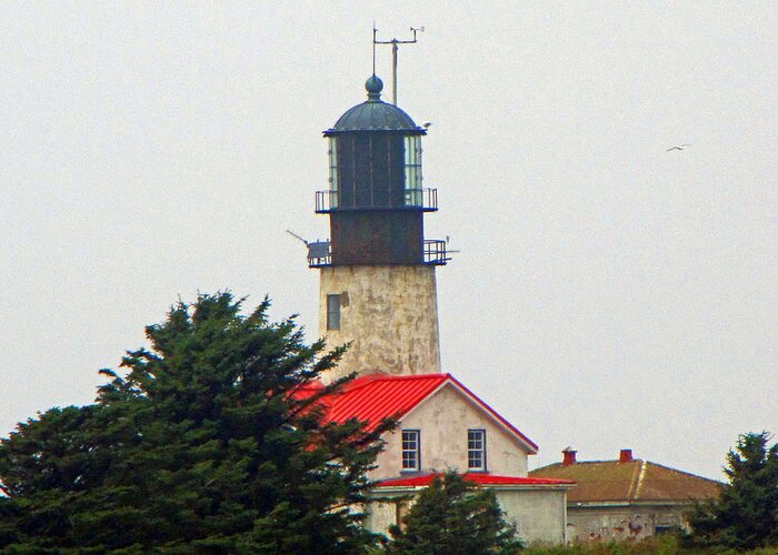 Cape Flattery Greeting Card featuring the photograph The Lighthouse of Tatoosh by Tikvah's Hope